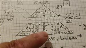 numerology 
  tarot